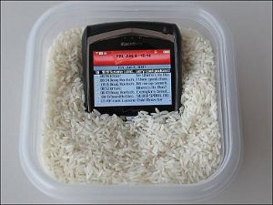 BlackBerry in Bowl of Rice